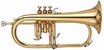 Flugel Horn Courtois Conservatoire & Reference Flugel Horns