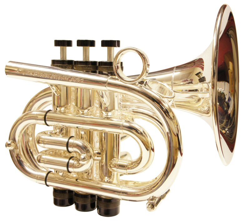 Taylor "Pocket Rocket" Pro Custom Pocket Trumpet. Outfit includes Taylor M mouthpiece & draw-string bag. Various finishes available. Have one made to your own specification