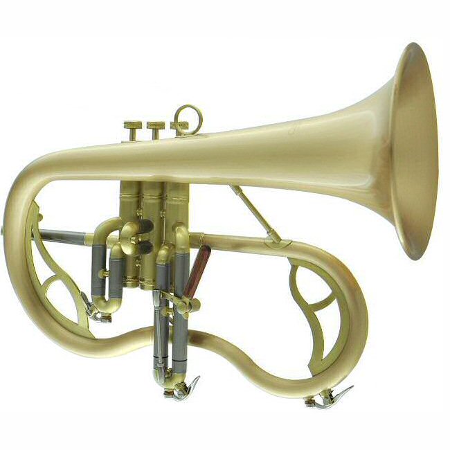 CarolBrass 7200 GSS SL Flugel Horn Gold Brass Bell Satin Lacquer