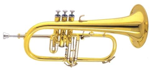 Amati Flugel Horns