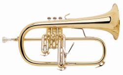 Bach Strad Stradivarius Flugel Horns