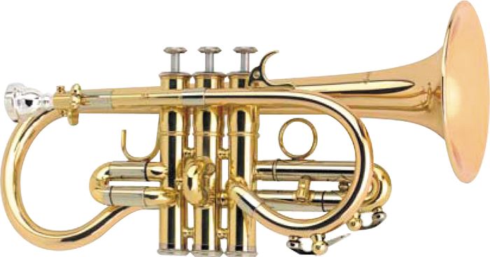 Courtois AC107R Chenonceaux II Soprano Cornet