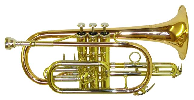 Rosetti Series 5 Cornet. Yellow Brass Bell