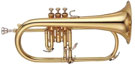 Yamaha Bobby Shew Flugel Horn