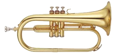 Yamaha 2310 Flugel Horn