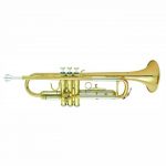 Arnolds Terra 4200G Trumpet