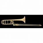 Arnolds Terra 4220G Trombone