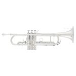 Arnolds Terra 8843S Bb Trumpet