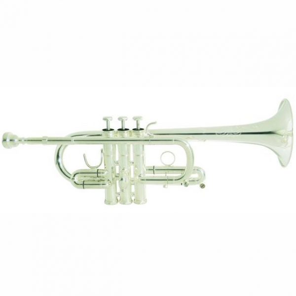 Arnolds Terra Eb D Trumpet
