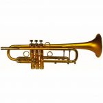 Bach Taylor Hybrid Trumpet 1