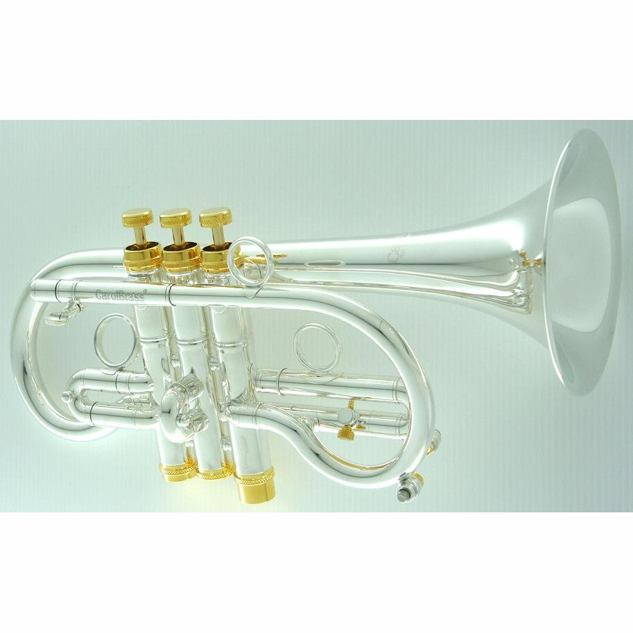 CarolBrass CCR7775YSSEbSG E Flat Soprano silver plated