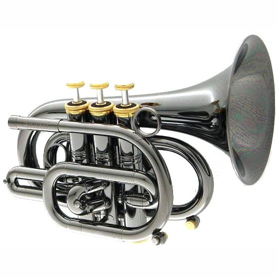 CarolBrass CPT 3000 GLS Bb BG Blackhawk Pocket Trumpet