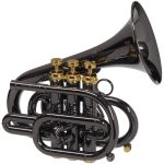 CarolBrass CPT 7000 GLS Bb BG Dizzy Pocket Trumpet