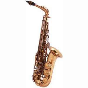 System 54 R Series Dragon Alto Sax