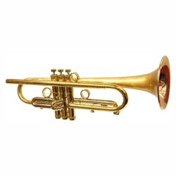 Taylor Chicago Standard Trumpet 