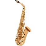 Yanagisawa AWO20 Alto Saxophone