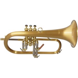 CarolBrass CFL-6200-GSS-SLB Flugel Horn