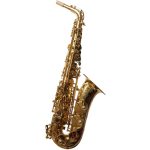 System 54 R-Series Power Bell Alto Sax Dark Gold Lacquer