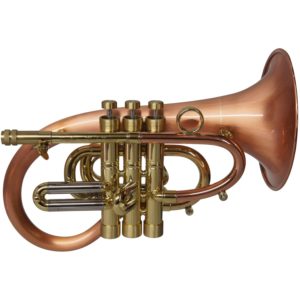 Taylor Phat Puppy Flugel Horn