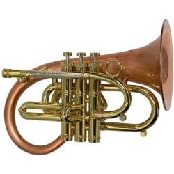 Taylor Phat Puppy Flugel Horn
