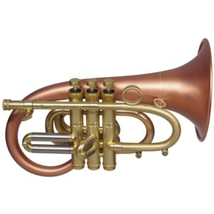 Taylor Phat Puppy Flugel Horn
