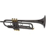 CarolBrass CTR-5000L-YST-Bb-BG Trumpet
