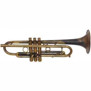 Taylor Trumpets Piranha Chicago VR
