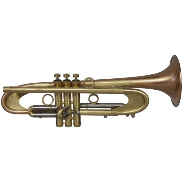 Taylor Chicago 47 Custom Trumpet