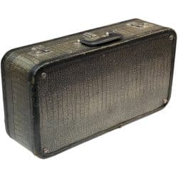 Vintage Selmer Trumpet Case