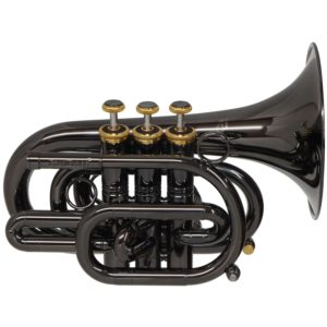 CarolBrass CPT-3000-GLS(D)-Bb-BG Pocket Trumpet