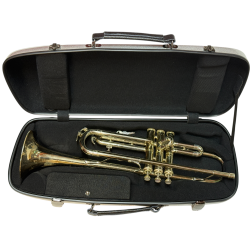 Eastman Trumpet Case Silver