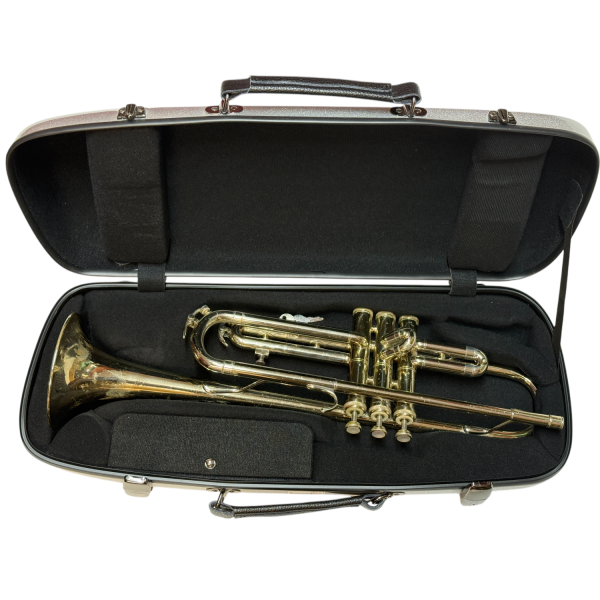 Eastman Trumpet Case Silver