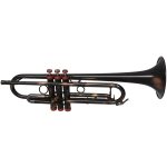 CarolBrass CTR-5000L-YLT-Bb-RD Trumpet