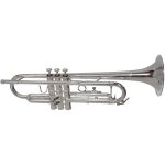 CarolBrass CTR-3050H-GSS-Bb-S Trumpet