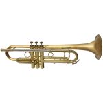 CarolBrass CTR-5060H-GSS-Bb-SLB Trumpet