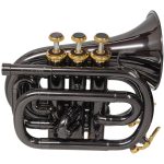 CarolBrass CPT-1000-YSS-Bb-BG Mini Pocket Trumpet