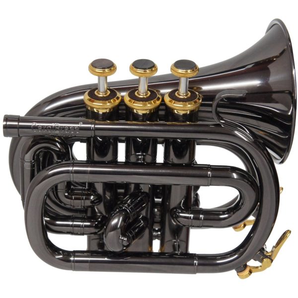 CarolBrass CPT-1000-YSS-Bb-BG Mini Pocket Trumpet