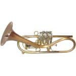 Taylor TARV Trumpet