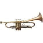 Taylor Piranha Half Dizzy Trumpet