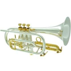 CarolBrass CCR-6880-GSS-SGG Cornet