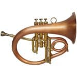 Taylor Phat Baby Flugel Horn