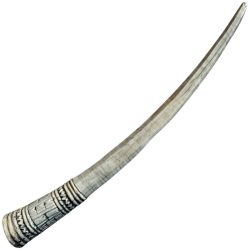 Animal Horn Trumpet