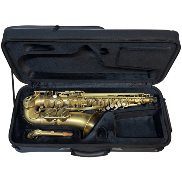 Festivo Alto Sax Case