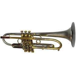 Taylor Piranha Trumpet Nickel Bell