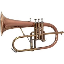 Second Hand JP 275SW Flugel Horn