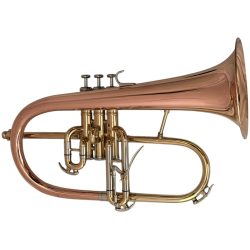 Second Hand JP 275SW Flugel Horn