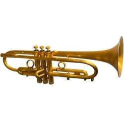 Taylor Piranha Trumpet Gloss Satin Gold