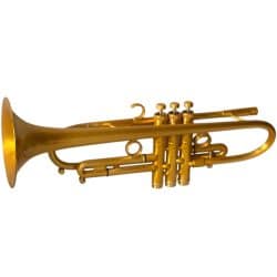Taylor Piranha Trumpet Gloss Satin Gold