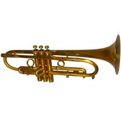 Taylor Piranha Trumpet Gloss Satin Gold