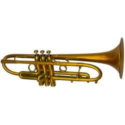 Taylor Piranha Trumpet Matt Satin Gold